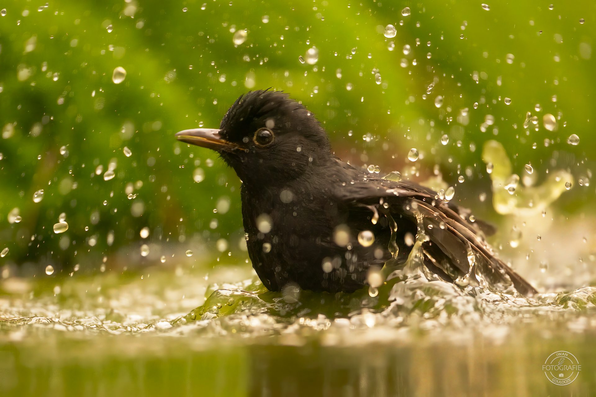 23 oktober 2022 123947 1R2A0275 bewerkt